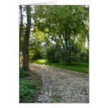 Path less traveled greeting cards