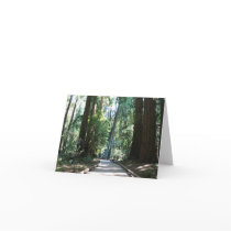 "Path of Giants", Blank Card by michaelsnydermusic "Path of Giants", Blank Card