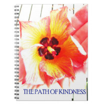 Path of Kindness Notebook notebooks