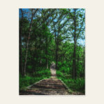 Path Of Life Postcard