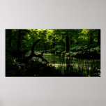 Path of Peacefulness - Extreme Posters