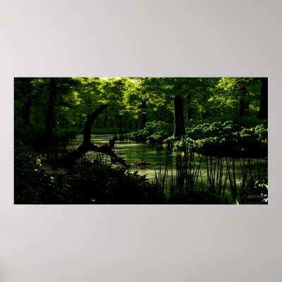 Path of Peacefulness - Extreme Posters by 3dartwork