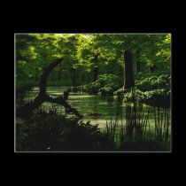 Path of Peacefulness Postcard postcards