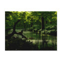 Path of Peacefulness Postcard by 3dartwork Path of Peacefulness Postcard
