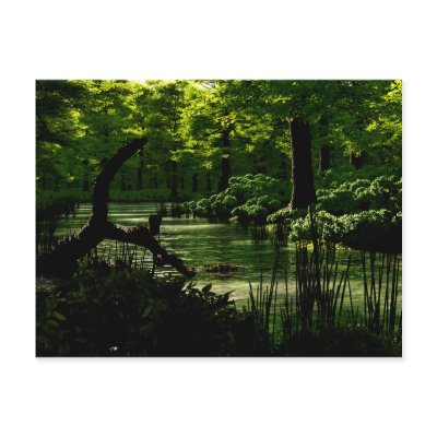 Path of Peacefulness Postcard by 3dartwork
