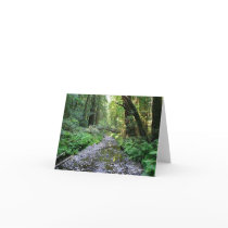 Path of the Ferns, Blank Card by michaelsnydermusic Path of the Ferns, Blank Card