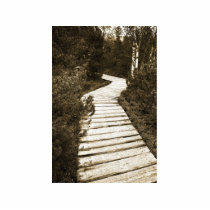 Path On Peat Moor In Sepia Colour photo sculptures