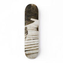 Path On Peat Moor In Sepia Colour Skateboard