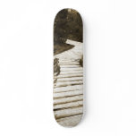 Path On Peat Moor In Sepia Colour Skateboard