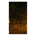 Path posters