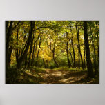 Path posters