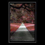 Path Print posters