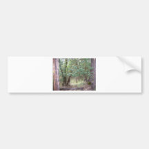 Path Through the Forest Bumper Sticker