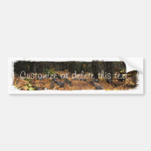 Path Through the Forest; Customizable Bumper Stickers
