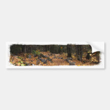 Path Through the Forest; No Text Bumper Sticker