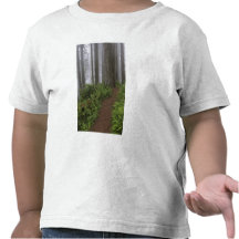Path through the giant redwood trees shrouded shirts