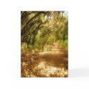 Path to Enlightenment cards