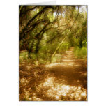 Path to Enlightenment cards