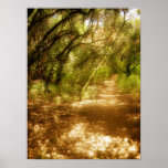 Path to Enlightenment posters