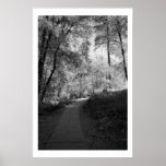 Path to Oak Creek Poster