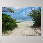 Path to Pacific Print