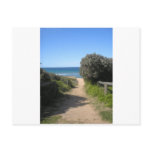 Path to palm beach post card