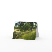 "Path to Quiet" Photo Card