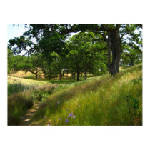 "Path to Quiet" posters by michaelsnydermusic "Path to Quiet" posters