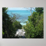 Path to the beach poster