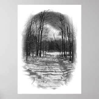 Path to the Pond Print