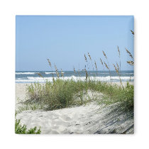 Path to the Sea-Ocracoke Island magnets by mbgphoto Path to the Sea-Ocracoke Island magnets