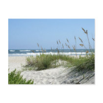 Path to the Sea-Ocracoke Island postcards by mbgphoto Path to the Sea-Ocracoke Island postcards