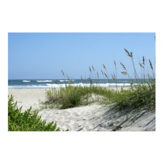 Path to the Sea print