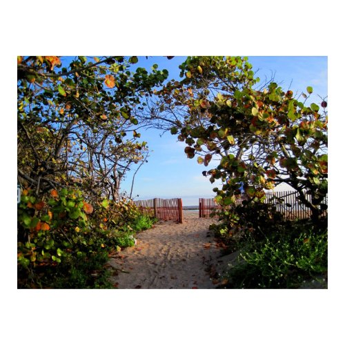 Path to the Sea print