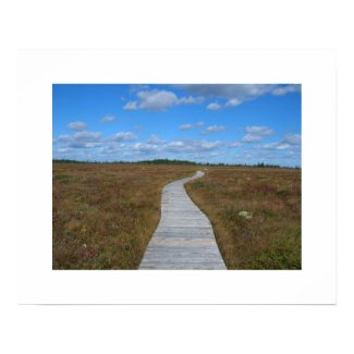 Path to the Sky print