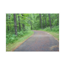 Path Woods Trees Nature Photography Canvas Print
