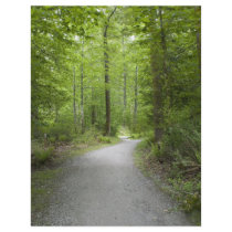 PathA052309 Custom Letterhead