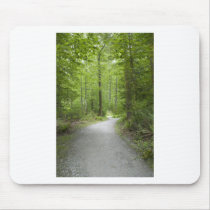PathA052309 Mouse Pad
