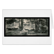 Pathos of the Jackass Photo 1900 cards