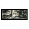 Pathos of the Jackass Photo 1900 posters by lc_panoramicphotos Pathos of the Jackass Photo 1900 posters