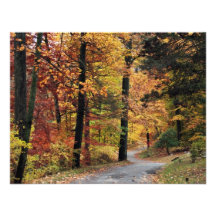 Paths Invite