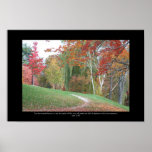 Paths of Life poster
