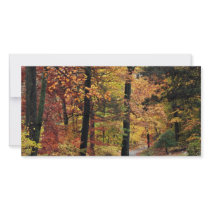 Paths photo cards by Jack_of_Arts Paths photo cards