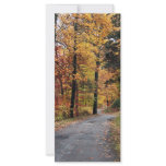 Paths rack cards