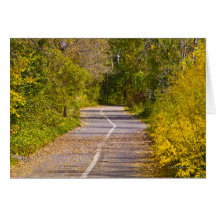 Pathway Greeting Card