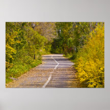 Pathway Poster