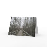 Pathway Through the Wilderness Greeting Card