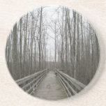 Pathway Through the Wilderness Coaster