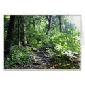 pathway to light cards
