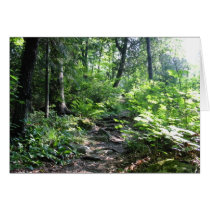 pathway to light cards by jacien pathway to light cards